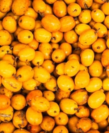 Health Benefits Of Loquat