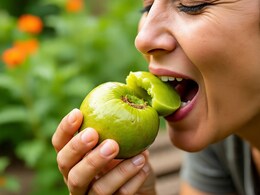 सर्दियों में आंवला खाने से क्या होगा, जान लें रोजाना 2 आंवला खाने के फायदे सर्दियों में आंवला खाने से क्या होगा, जान लें रोजाना 2 आंवला खाने के फायदे