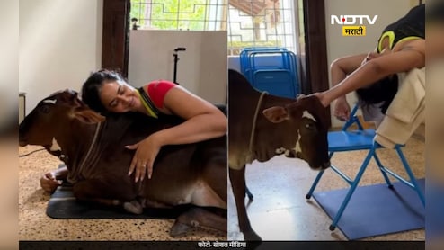 बॉलिवूडच्या 'या' अभिनेत्रीने पाळली गाय, वासरासोबत योग करतानाचा Video आला समोर