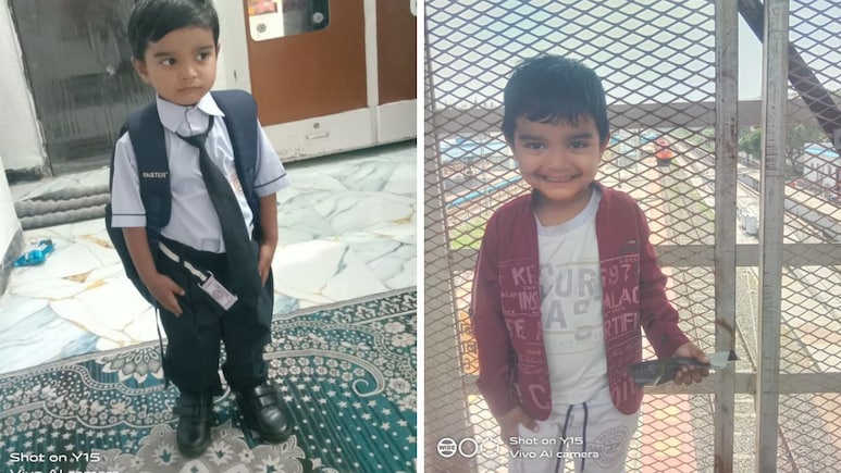 Boy, 3, Dies Of Dog Bite, Maharashtra Family Demands Street Dogs Be Picked