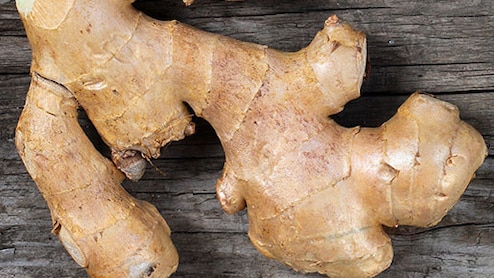 अदरक : रसोई का राजा और सेहत का सुपरफूड, आयुर्वेद से जानें फायदे