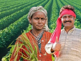 PM Kisan Yojana: PM किसान योजनेतून नाव गायब? 'हे' काम लगेच करा, तुमचे नाव कसे तपासाल? वाचा...