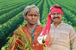 PM Kisan Yojana: PM किसान योजनेतून नाव गायब? 'हे' काम लगेच करा, तुमचे नाव कसे तपासाल? वाचा...