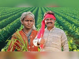 PM Kisan 21st Installment: दिवाली पर किसानों के खाते में आएंगे दो हजार रुपये? ऐसे चेक करें पीएम किसान योजना का स्टेटस PM Kisan 21st Installment: दिवाली पर किसानों के खाते में आएंगे दो हजार रुपये? ऐसे चेक करें पीएम किसान योजना का स्टेटस