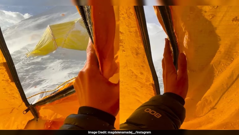 Mountaineer Woke Up In A Snow Blizzard, Video Goes Viral Mountaineer Woke Up In A Snow Blizzard, Video Goes Viral