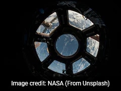 Microbes Vital For Human Health Show Resilience In Spaceflight, Study Finds