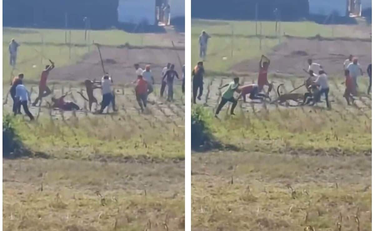 Leopard Attack in Himachal Village: Locals Defend Against Wild Predator with Sticks as Forest Officials Intervene