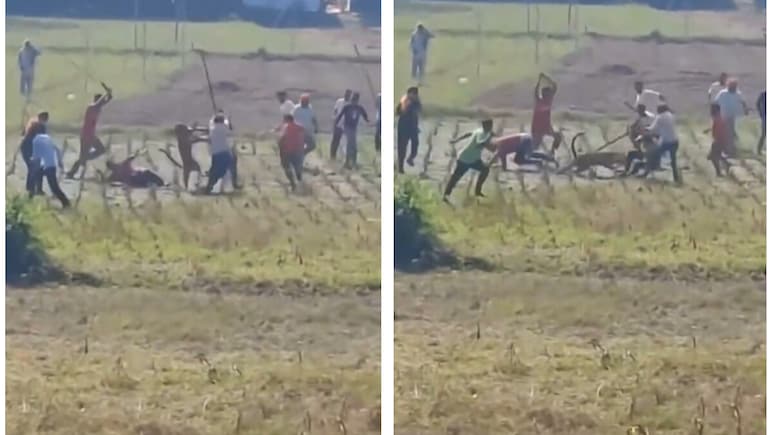 Caught On Camera: Locals Fight Off Leopard With Sticks In Himachal Village