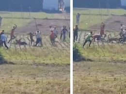 Caught On Camera: Locals Fight Off Leopard With Sticks In Himachal Village Caught On Camera: Locals Fight Off Leopard With Sticks In Himachal Village