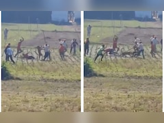 Caught On Camera: Locals Fight Off Leopard With Sticks In Himachal Village