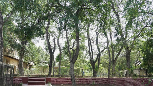 Latest and Breaking News on NDTV Latest and Breaking News on NDTV