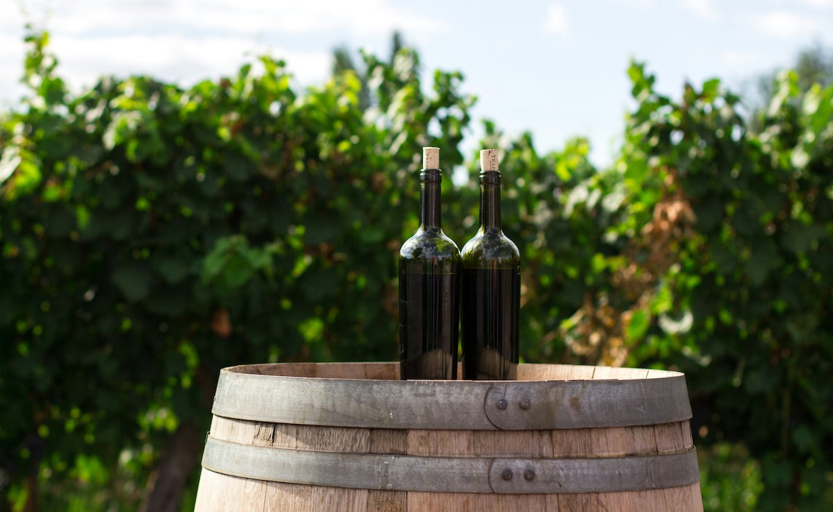 Latest and Breaking News on NDTV Latest and Breaking News on NDTV