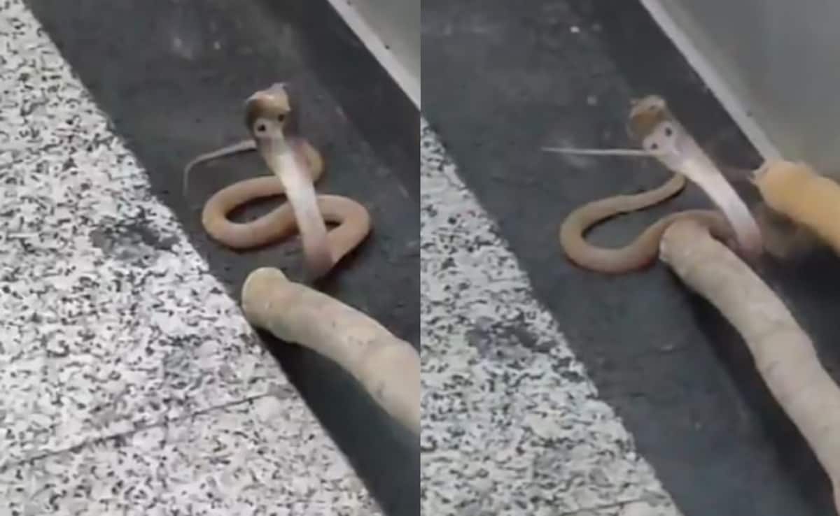 Access Denied Access Denied