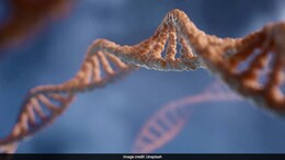 Researchers Claim 'Alien' DNA In Humans Might Be Inserted Into Our Genes