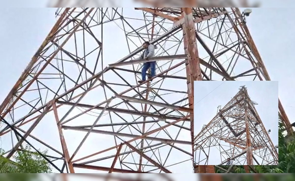 Latest and Breaking News on NDTV Latest and Breaking News on NDTV