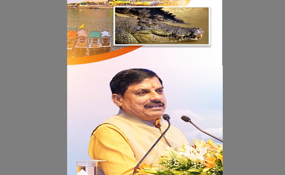CM मोहन यादव का एक और संकल्प पूरा; अब नर्मदा नदी में बसेंगे मगरमच्छ, जानिए क्या है इसका महत्व
