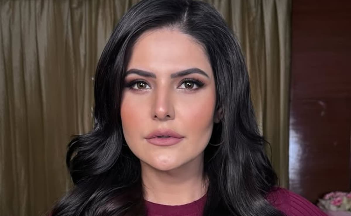 Zareen Khan Hits Back At Vulgar Comments On Social Media Posts: "Yeh Kya Chakkar Hai?"