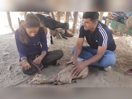 Rajasthan: हिरण के प्रेम में लड़की ने छोड़ा स्कूल, जब बिछड़ी तो पूजा फूट-फूटकर रोई Rajasthan: हिरण के प्रेम में लड़की ने छोड़ा स्कूल, जब बिछड़ी तो पूजा फूट-फूटकर रोई