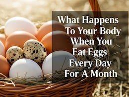 What Happens To Your Body When You Eat Eggs Every Day For A Month What Happens To Your Body When You Eat Eggs Every Day For A Month