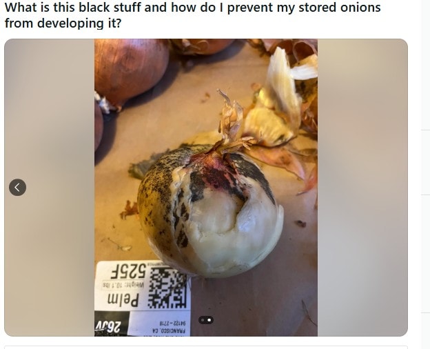 A users post on Reddit. Photo: Reddit A users post on Reddit. Photo: Reddit