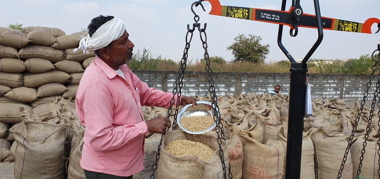 Grain Ready, Government Is Not: Farmers On Paddy Procurement In Chhattisgarh