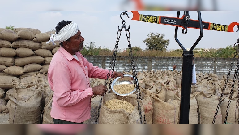 Grain Ready, Government Is Not: Farmers On Paddy Procurement In Chhattisgarh Grain Ready, Government Is Not: Farmers On Paddy Procurement In Chhattisgarh