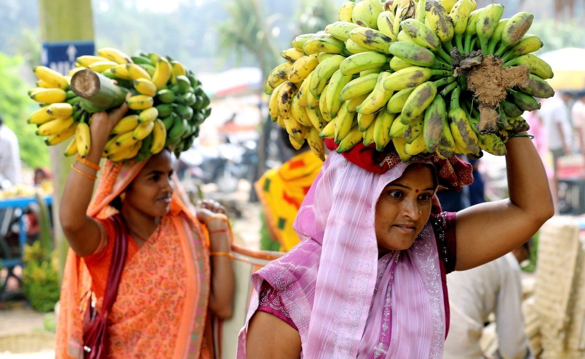 छठ के लिए केला खरीदकर ले जाती महिलाएं. छठ के लिए केला खरीदकर ले जाती महिलाएं.