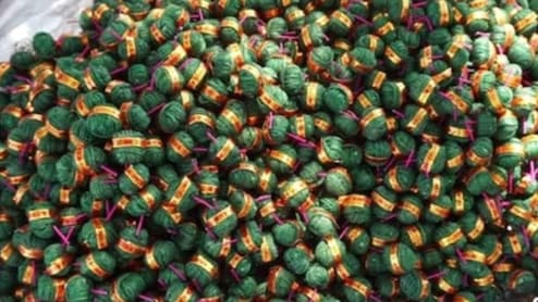 Diwali 2025: ग्रीन पटाखों का बढ़ता क्रेज! क्या है 'सूतली बॉम्ब' बनाने की सीक्रेट कारीगरी, जो सबको आ रही पसंद?
