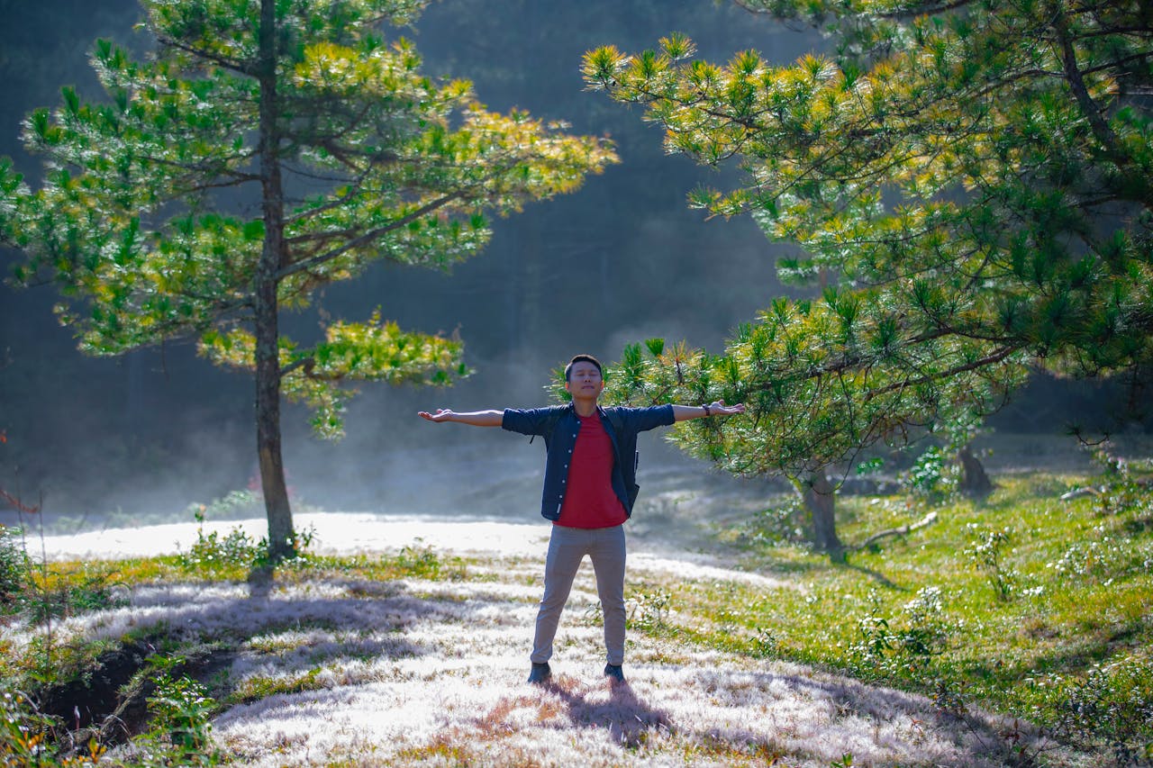 Exposure To Daylight Improves Metabolic Health, Helps Diabetics: Study