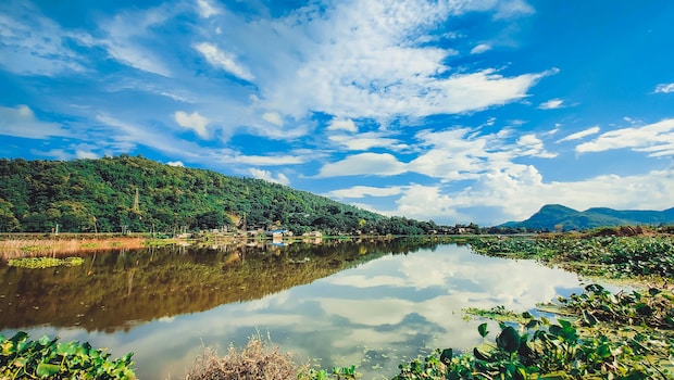 Latest and Breaking News on NDTV