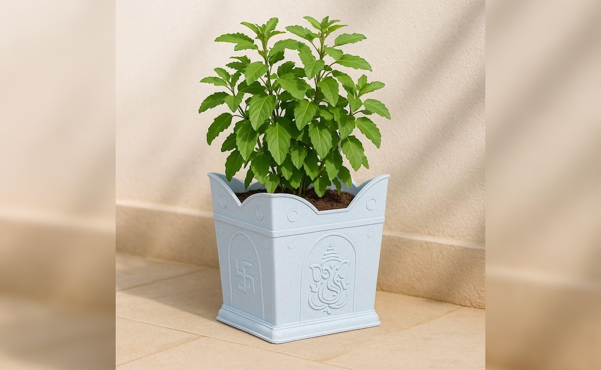 Latest and Breaking News on NDTV