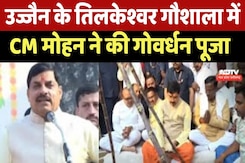 Ujjain के Tilakeshwar Gaushala में CM Mohan Yadav ने की Govardhan पूजा Ujjain के Tilakeshwar Gaushala में CM Mohan Yadav ने की Govardhan पूजा