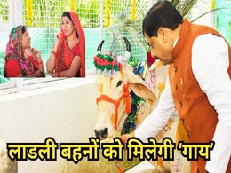 1.27 करोड़ लाडली बहनों को आत्मनिर्भर बनाने के लिए गाय देना चाहिए, पूर्व CM उमा भारती ने सरकार के सामने रखा प्रस्ताव 1.27 करोड़ लाडली बहनों को आत्मनिर्भर बनाने के लिए गाय देना चाहिए, पूर्व CM उमा भारती ने सरकार के सामने रखा प्रस्ताव