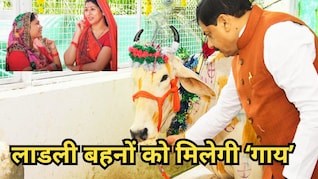 1.27 करोड़ लाडली बहनों को आत्मनिर्भर बनाने के लिए गाय देना चाहिए, पूर्व CM ने सरकार के सामने रखा प्रस्ताव