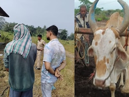 Raigad Crime : कर्जतच्या शेतकऱ्यांमध्ये संताप! बैलाची कत्तल करणाऱ्या मांस तस्करांचा सुळसुळाट..त्या गावात घडली सर्वात भयंकर घटना! Raigad Crime : कर्जतच्या शेतकऱ्यांमध्ये संताप! बैलाची कत्तल करणाऱ्या मांस तस्करांचा सुळसुळाट..त्या गावात घडली सर्वात भयंकर घटना!