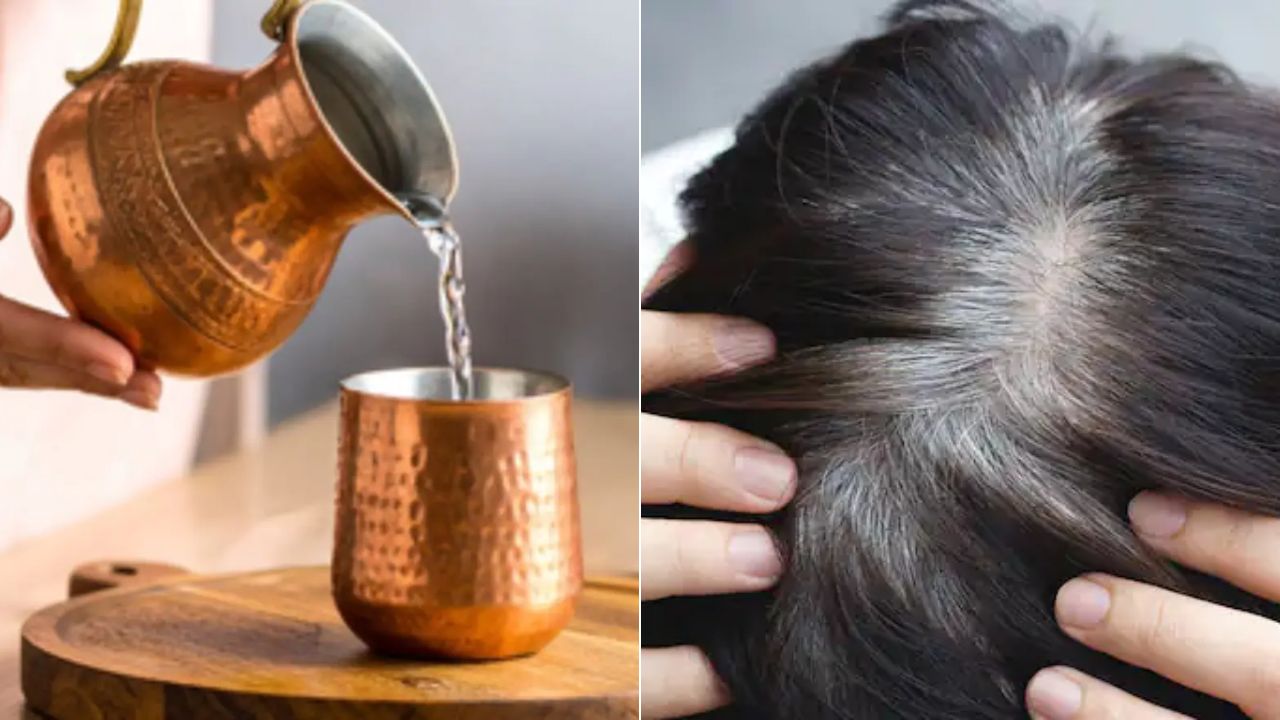 क्या तांबे के बर्तन में पानी पीने से सफेद बाल काले हो सकते हैं? न्यूट्रिशनिस्ट ने बताया White Hair कम करने का असरदार नुस्खा