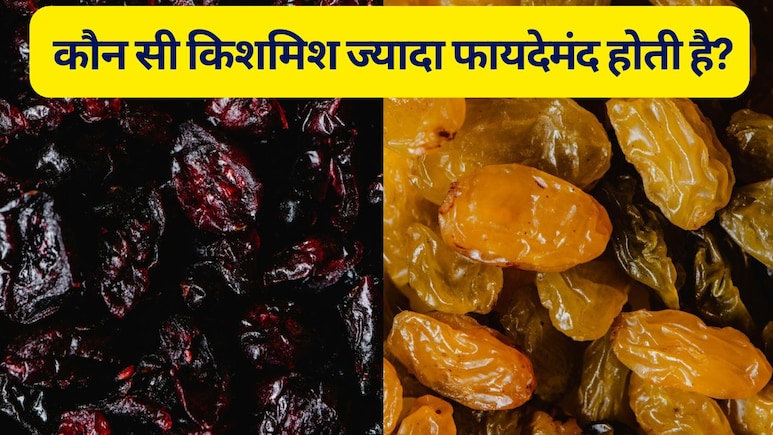 पीली और काली किशमिश में ज्यादा हेल्दी कौन? जानिए यहां