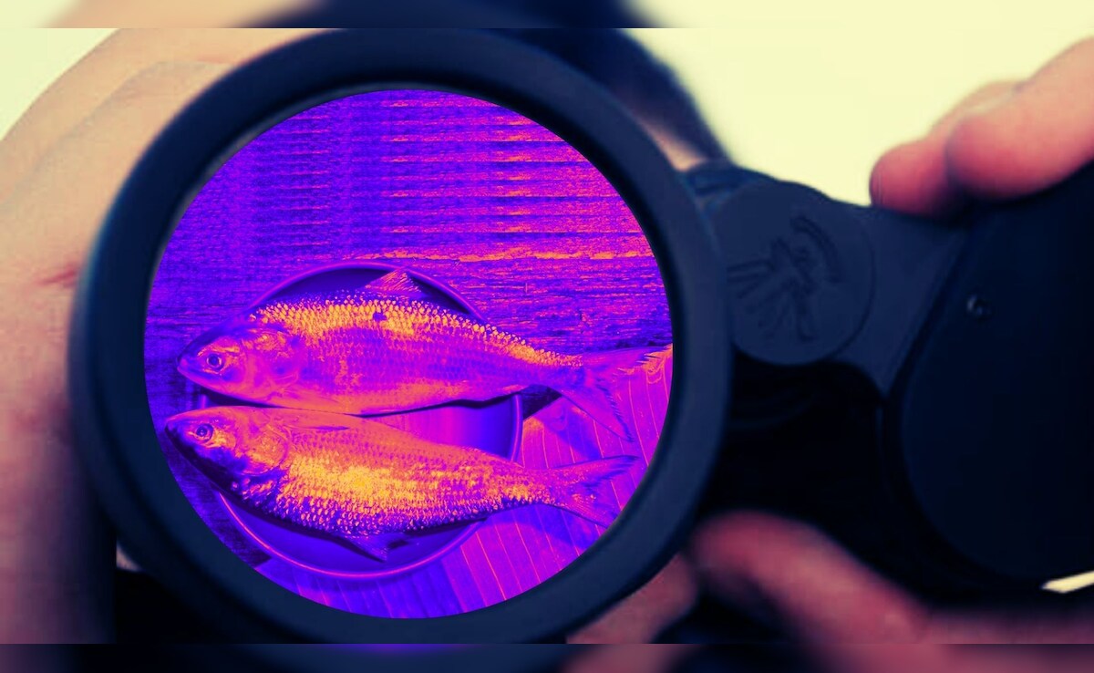 Story image