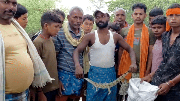 जाल में फंसा घड़ियाल का नन्हा बच्चा, मछुआरे ने किया ऐसा काम; जमकर हो रही तारीफ जाल में फंसा घड़ियाल का नन्हा बच्चा, मछुआरे ने किया ऐसा काम; जमकर हो रही तारीफ