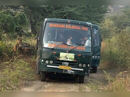 Rajasthan: नाहरगढ़ बायोलॉजिकल पार्क में टाइगर और लायन सफारी पर रोक, NDTV राजस्थान की खबर का बड़ा असर Rajasthan: नाहरगढ़ बायोलॉजिकल पार्क में टाइगर और लायन सफारी पर रोक, NDTV राजस्थान की खबर का बड़ा असर