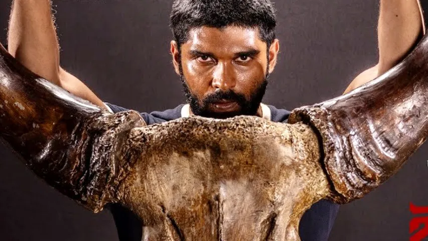 Entertainment News Live Updates: Bison Trailer फिल्म रिलीज से तीन दिन पहले रिलीज, 51 की मलाइका ने 29 की रश्मिका को पछाड़ा- लेटेस्ट अपडेट