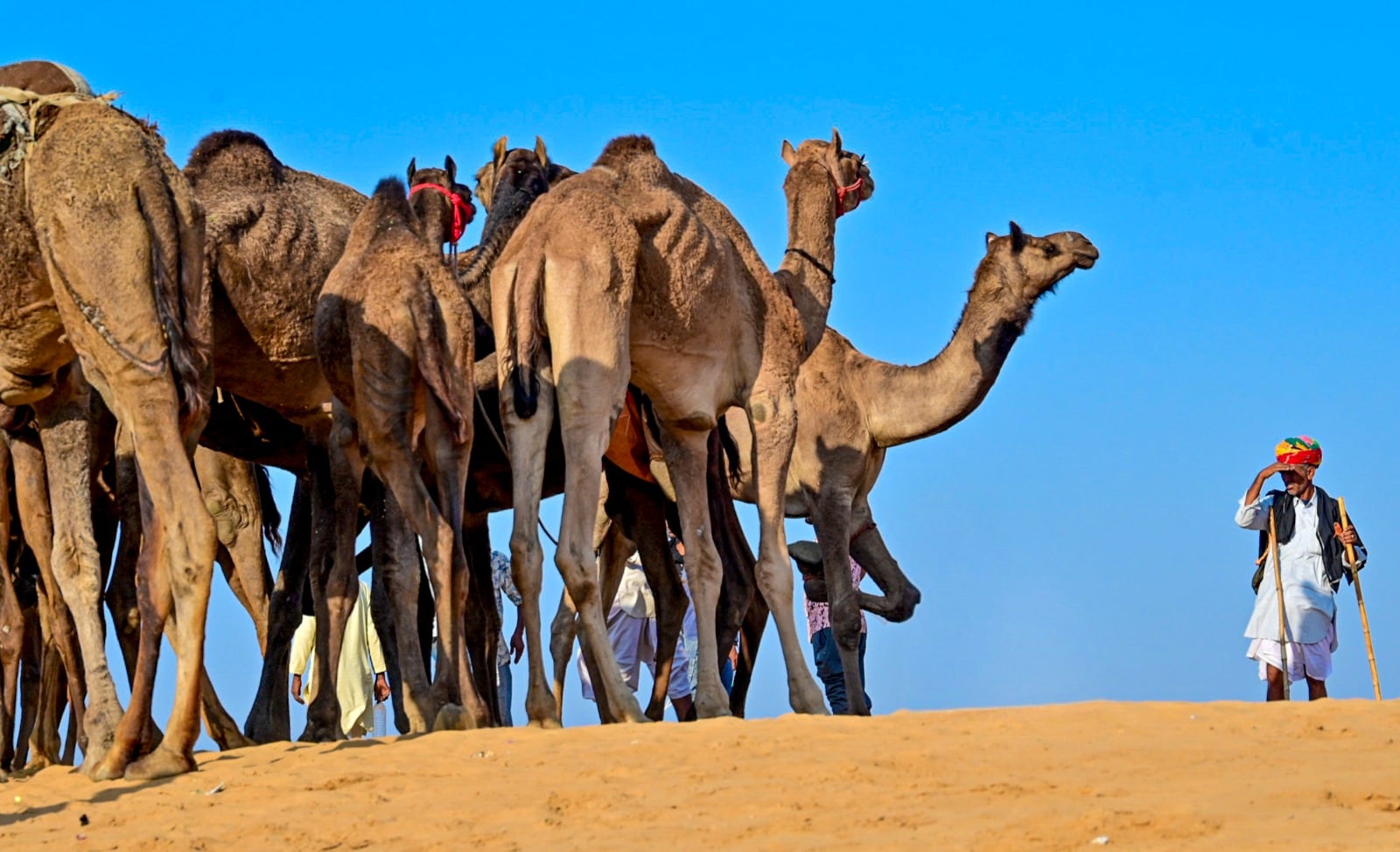 Latest and Breaking News on NDTV Latest and Breaking News on NDTV