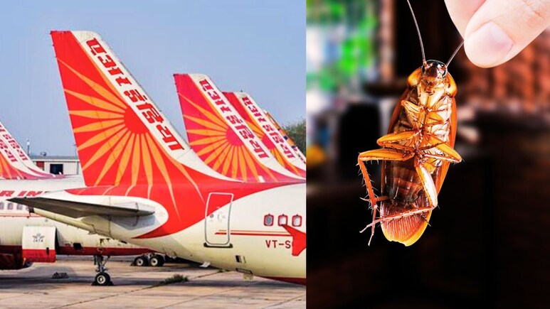 Air India Viral : 'त्या' झुरळाला मरेपर्यंत फाशी! एअर इंडियाचं विमान पुन्हा एकदा चर्चेत