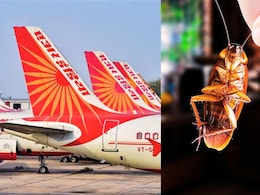 Air India Viral : 'त्या' झुरळाला मरेपर्यंत फाशी! एअर इंडियाचं विमान पुन्हा एकदा चर्चेत Air India Viral : 'त्या' झुरळाला मरेपर्यंत फाशी! एअर इंडियाचं विमान पुन्हा एकदा चर्चेत