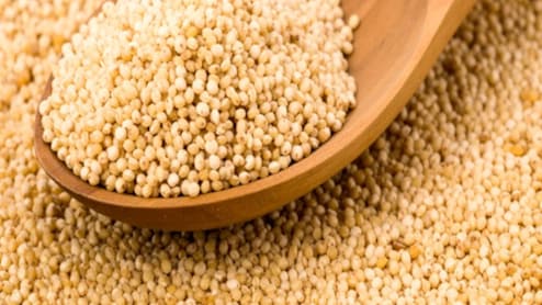 खसखस का ऐसे करें इस्तेमाल, मिलेंगे अनगिनत फायदे