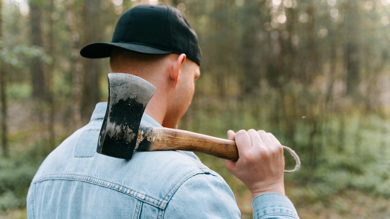 Explore must-have camping and outdoor essentials you can get from Amazon