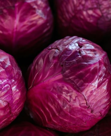 8 Health Benefits Of Purple Cabbage