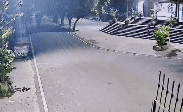 VIDEO: हरिद्वार की कोर्ट में घुस गया हाथी... फिर जो हुआ उसने सबके होश उड़ा दिए