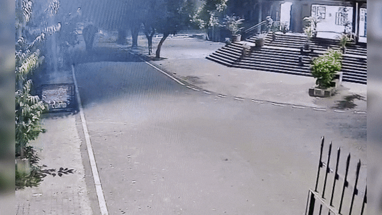 VIDEO: हरिद्वार की कोर्ट में घुस गया हाथी... फिर जो हुआ उसने सबके होश उड़ा दिए