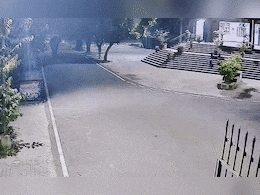 VIDEO: हरिद्वार की कोर्ट में घुस गया हाथी... फिर जो हुआ उसने सबके होश उड़ा दिए VIDEO: हरिद्वार की कोर्ट में घुस गया हाथी... फिर जो हुआ उसने सबके होश उड़ा दिए